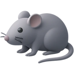 tikus