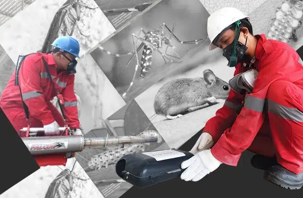 pest control