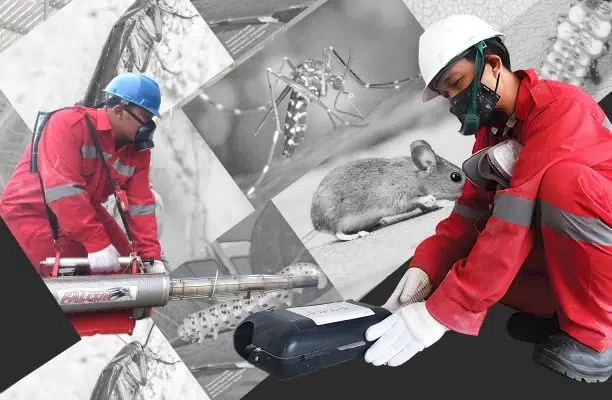 Pest Control