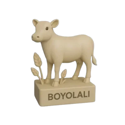 Boyolali