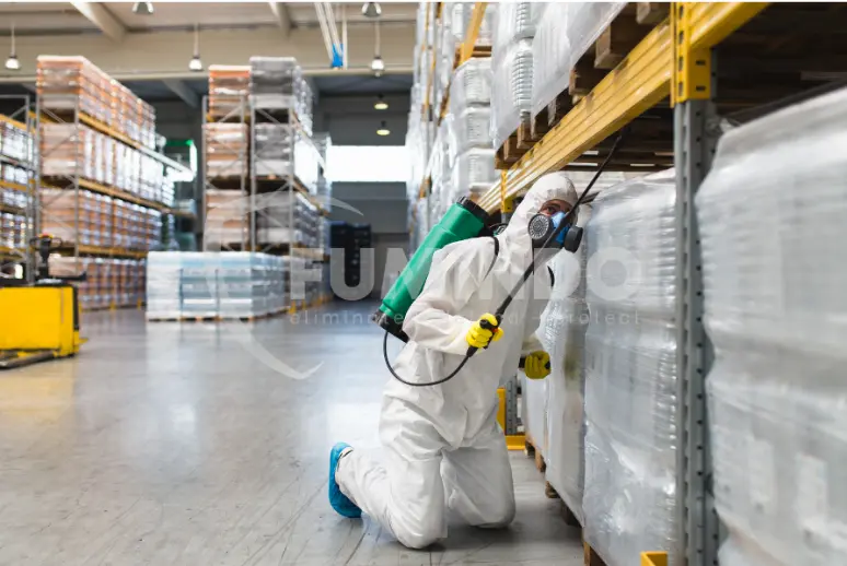 hama fumigasi gudang