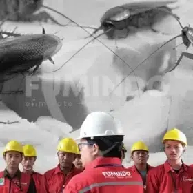 apakah kecoa bisa menggigit