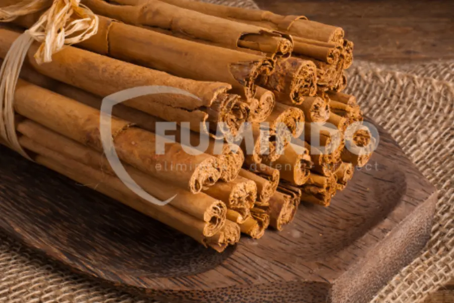 kayu manis hama gudang