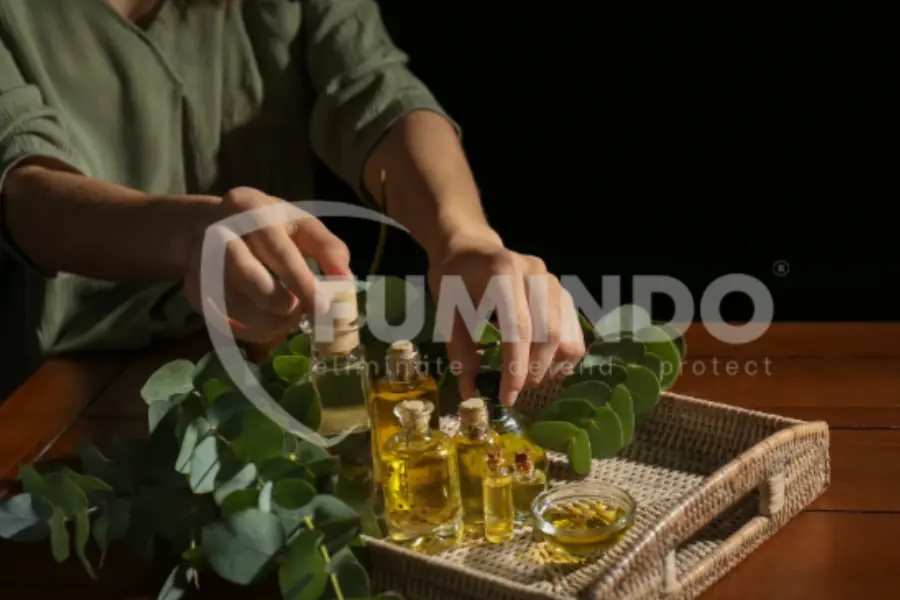 minyak atsiri eucalyptus eucalyptus oil untuk hama gudang