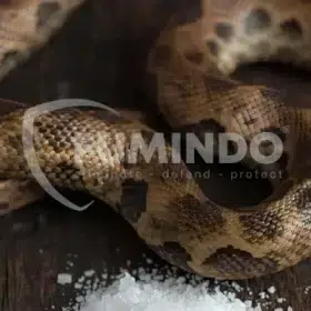 kenapa ular takut garam