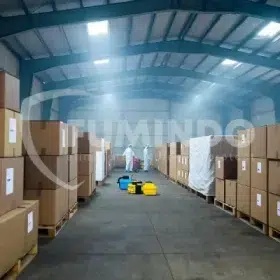 prinsip metode kontak dan fumigasi pada hama gudang